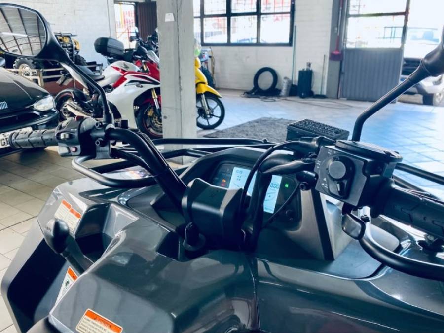 SEGWAY - SNARLER AT5 STANDARD - 2024/2024 - Cinza - R$ 41.990,00